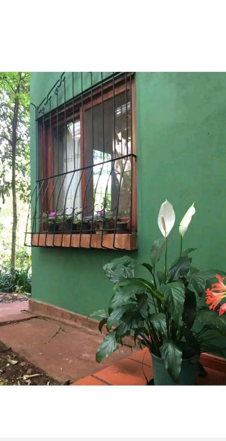 푸에르토이과수 Jardin De Naipi 아파트 외부 사진