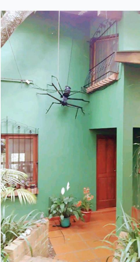 푸에르토이과수 Jardin De Naipi 아파트 객실 사진